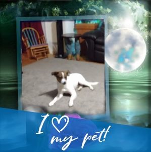 Meet your Posher, Debra